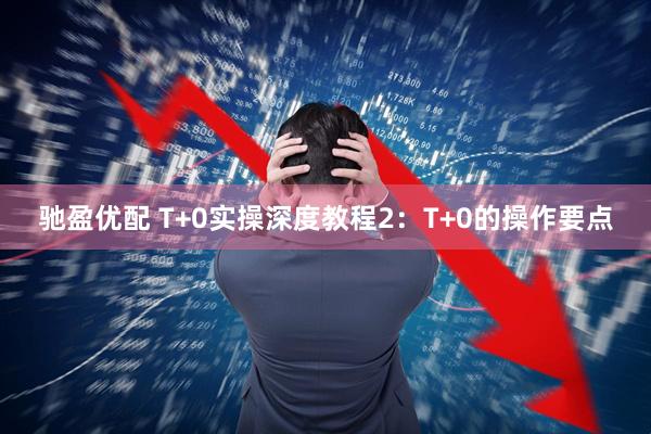 驰盈优配 T+0实操深度教程2：T+0的操作要点