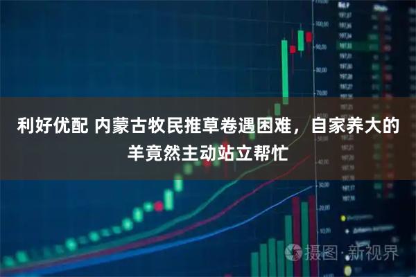 利好优配 内蒙古牧民推草卷遇困难，自家养大的羊竟然主动站立帮忙