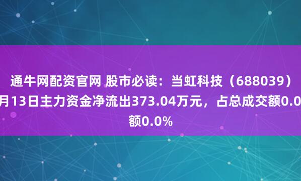 通牛网配资官网 股市必读：当虹科技（688039）7月13日主力资金净流出373.04万元，占总成交额0.0%
